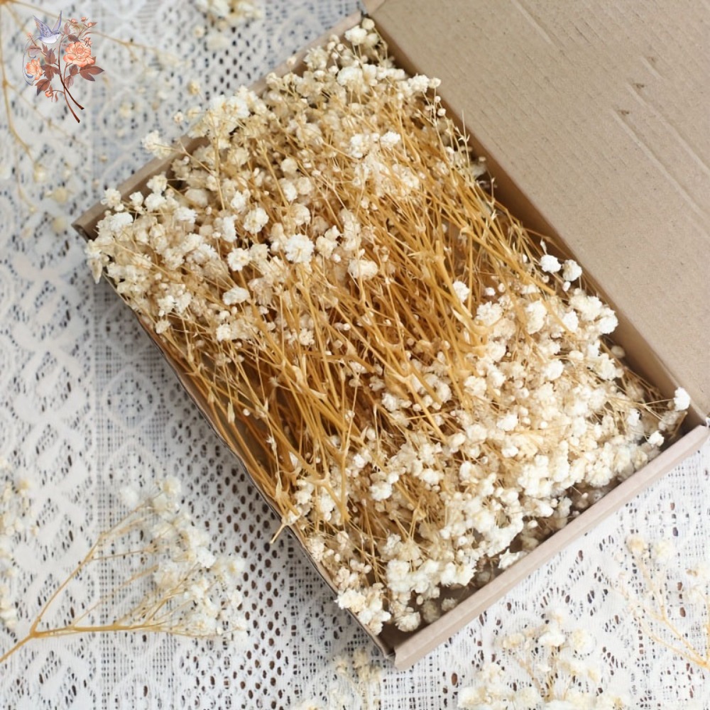 Craft Embellishment - 100 Peças de Flores Secas Mini