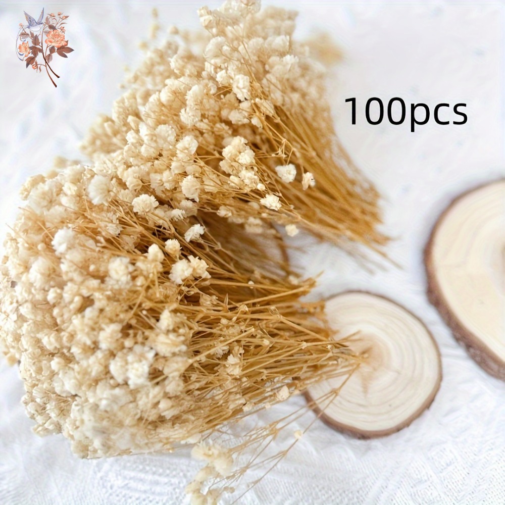 100 Peças de Flores Secas Mini - Craft Embellishment avaliação e preço