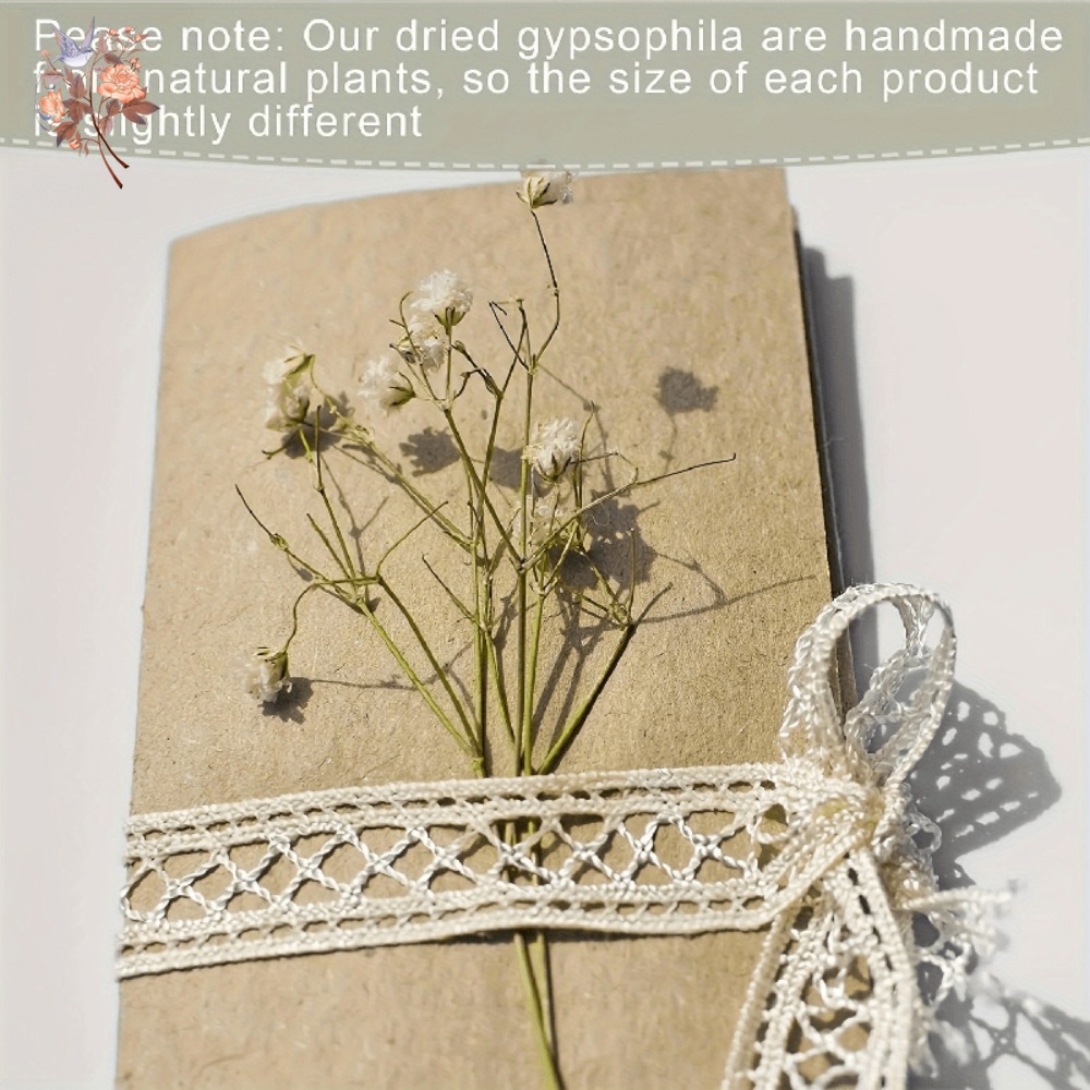100 Peças de Flores Secas Mini - Craft Embellishment avaliação e preço